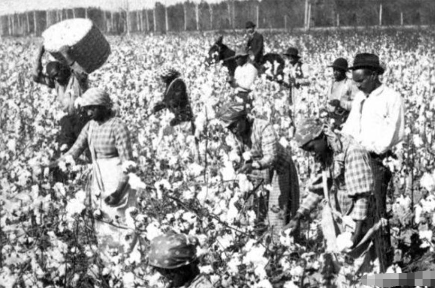 此殖民地跟韩国差不多大，让其独立却死活不愿意，原因只有一个字