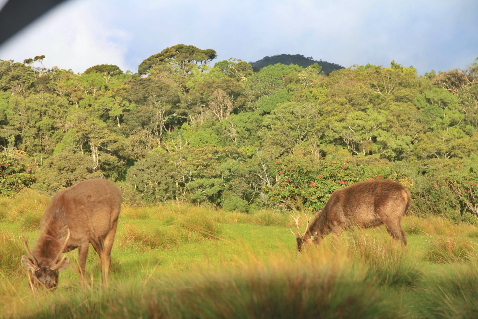 斯里兰卡的旅游攻略和心得,斯里兰卡宝石购买攻略