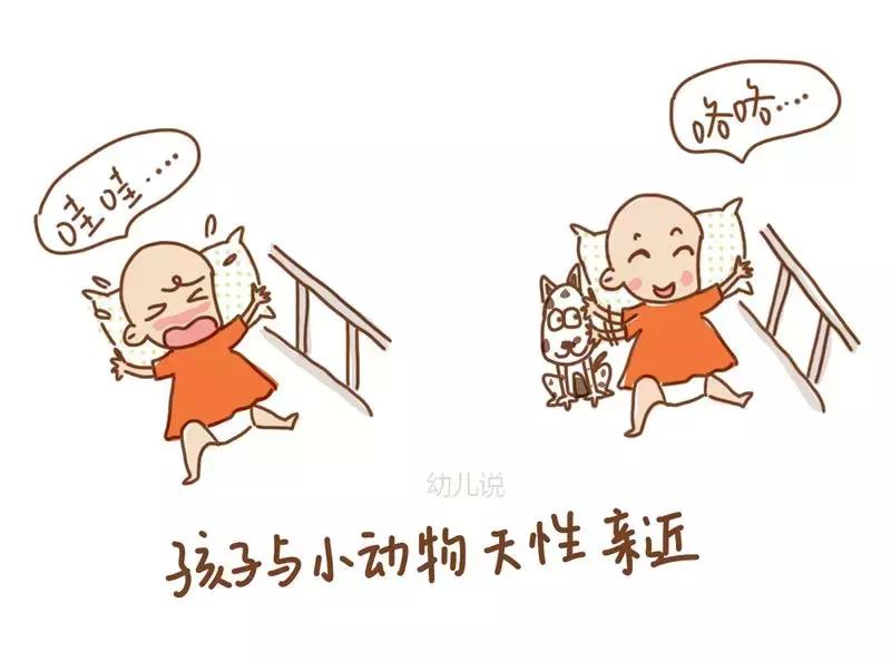 孩子的宠物死了怎么给孩子说,孩子的宠物死了怎么安慰文案