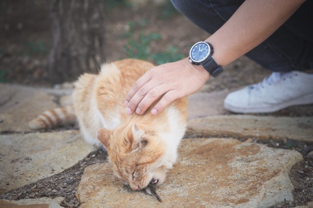 驰骋户外,入手了一款全能小神器