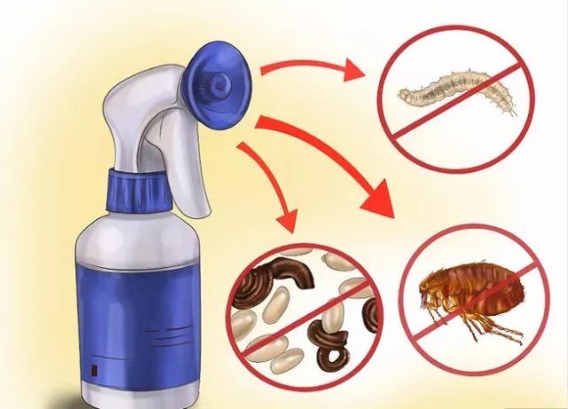 猫不吃体内驱虫药怎么办,猫驱虫多久一次体内体外