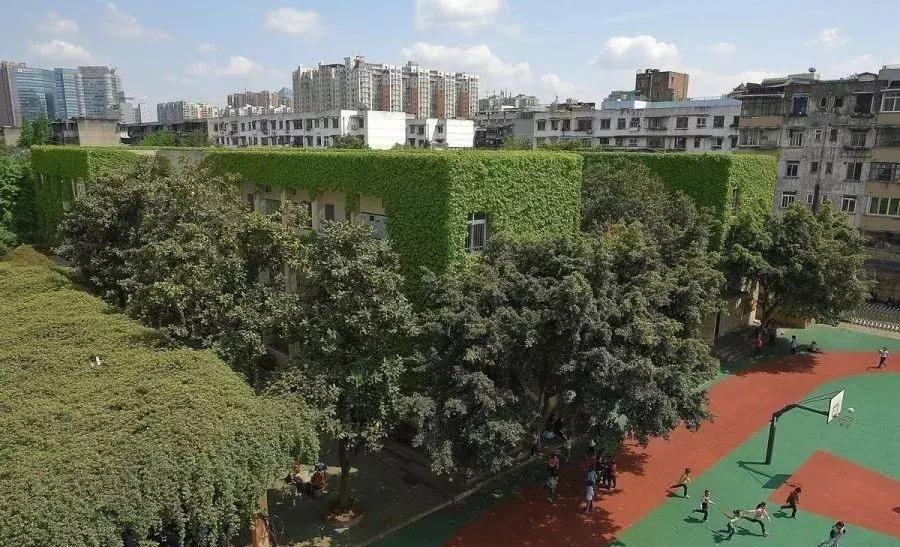 成都市区绿野仙踪,绿野仙踪成都二环