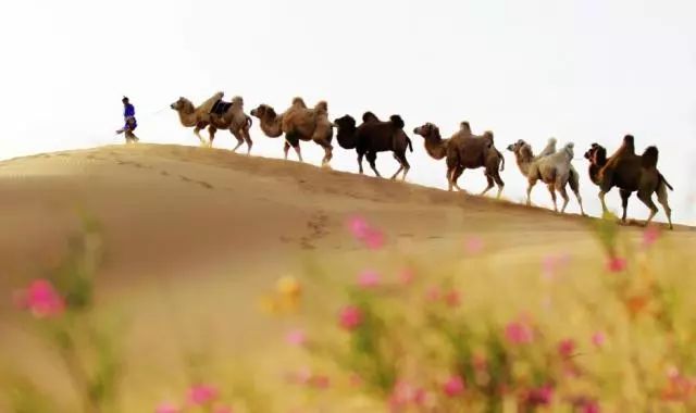 沙漠七星湖景区,迪拜沙漠探索票价