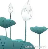 岳池北庙荷花节视频,四川广安荷花节