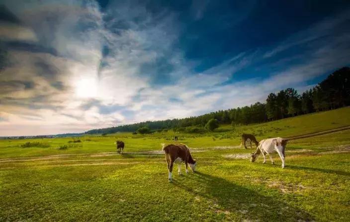 从天津出发的旅游专线 (天津出发12小时到达)