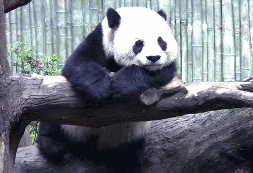 每天发呆五分钟能减压,有效的减压方式每天发呆5分钟