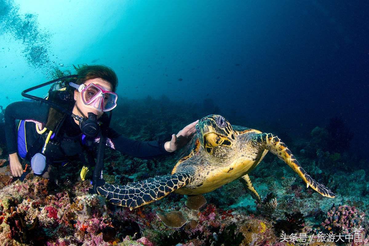 泰国普吉岛十大潜水景点介绍,泰国普吉十大潜水景点排名第一名