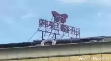 女子整容失败医院说没问题,女子整容失败医院讨说法被阻拦