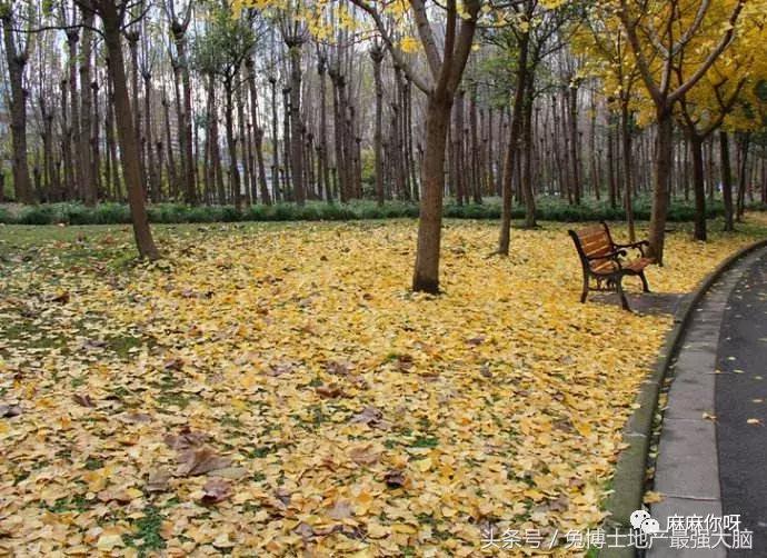 板块讲解,板块详情教程