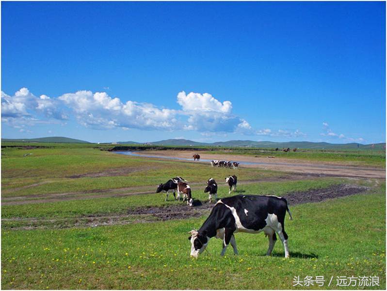 金帐汗蒙古部落景区简介,海拉尔金帐汗蒙古部落好玩吗