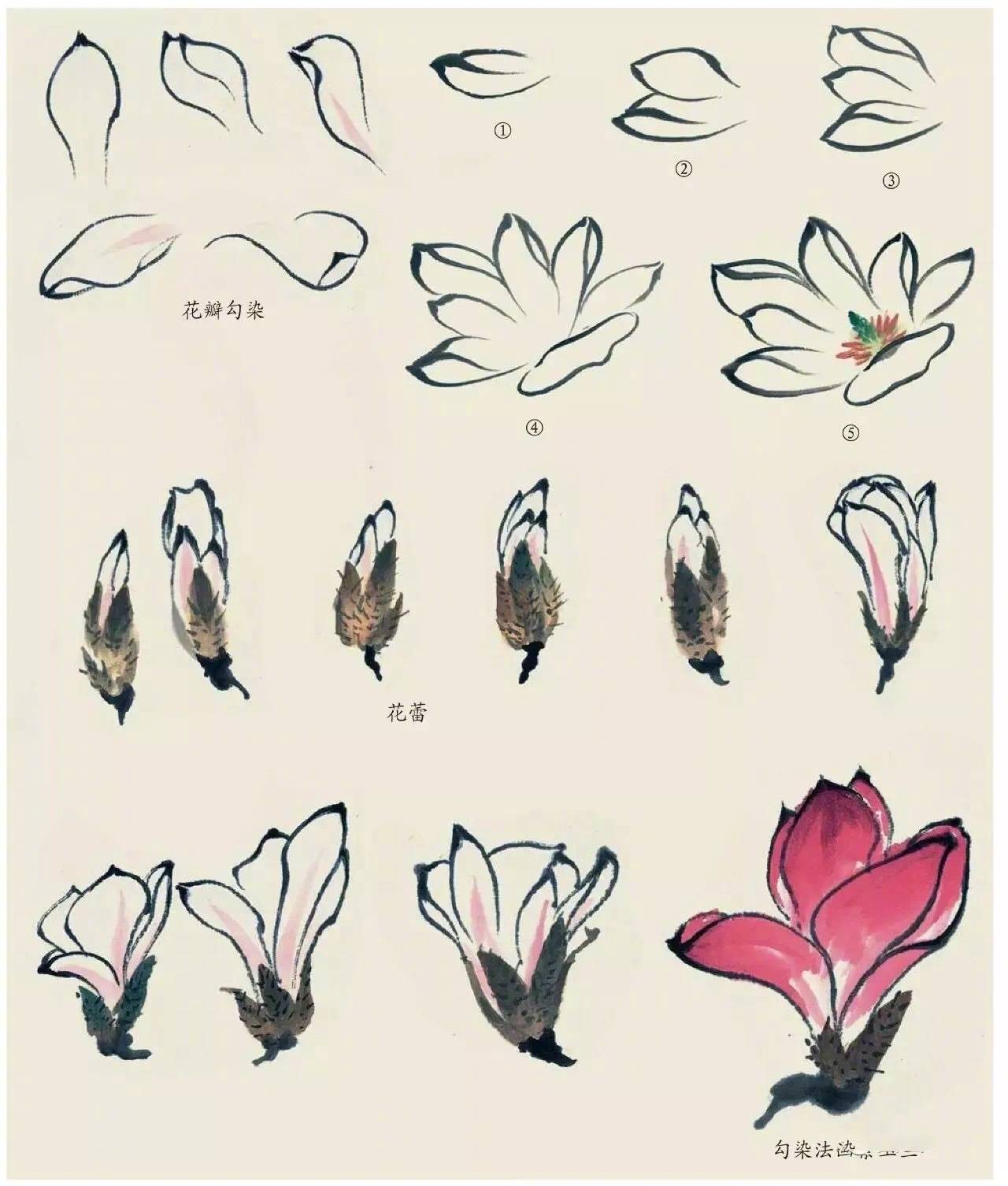 国画中的植物花卉小雏菊怎么画,国画花卉小品图片大全大图