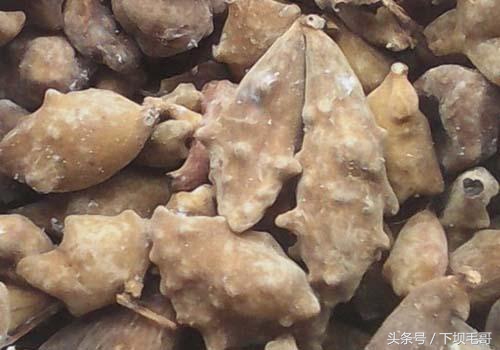 90后的童年农村野果,90年代的孩子有多少零花钱