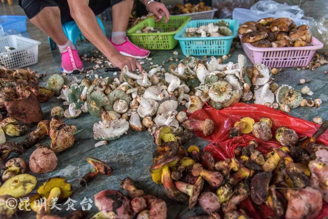 昆明野生菌苍蝇馆子,昆明比较高端的野生菌餐厅