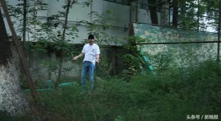 网红测评驱蚊的东西,打假测评达人驱蚊神器