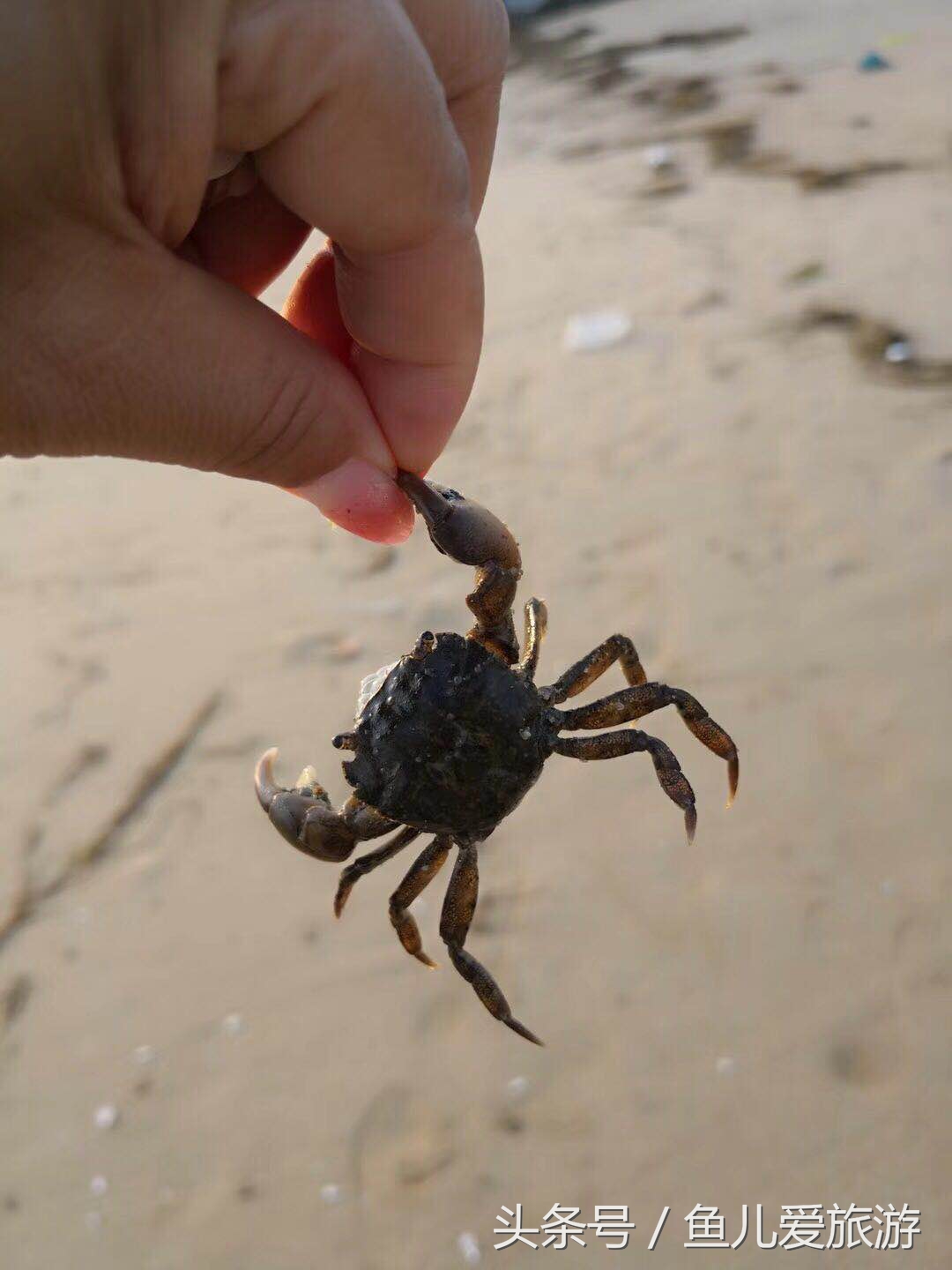 东疆港和北戴河哪个好玩,两宝妈带孩子自驾游