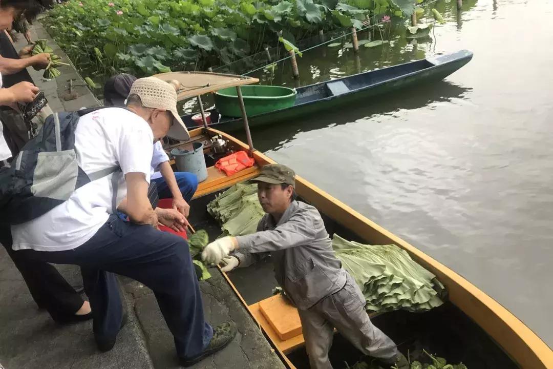 真的荷花哪里有卖的,荷花莲蓬哪个地方能卖