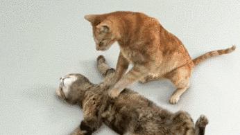 足球回不了家，哨响那一刻才知道，快乐只是你穿的保护色