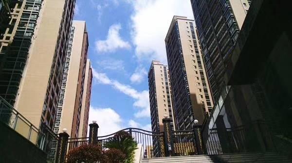 沙井新城,张哥哥真诚为您推荐