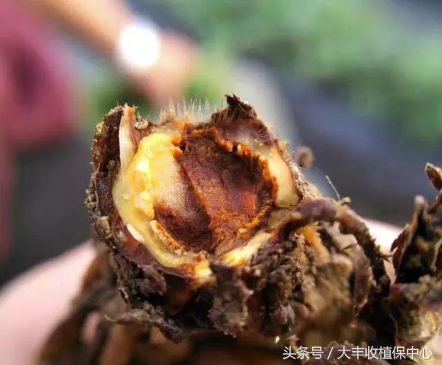 做到这7点疾病远离你,做到这7点让心血管健康一辈子