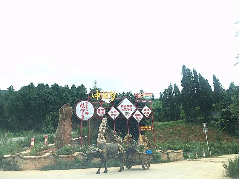 「发现」跳上生态旅游的“舞台”——看泸西阿平村如何美丽嬗变~