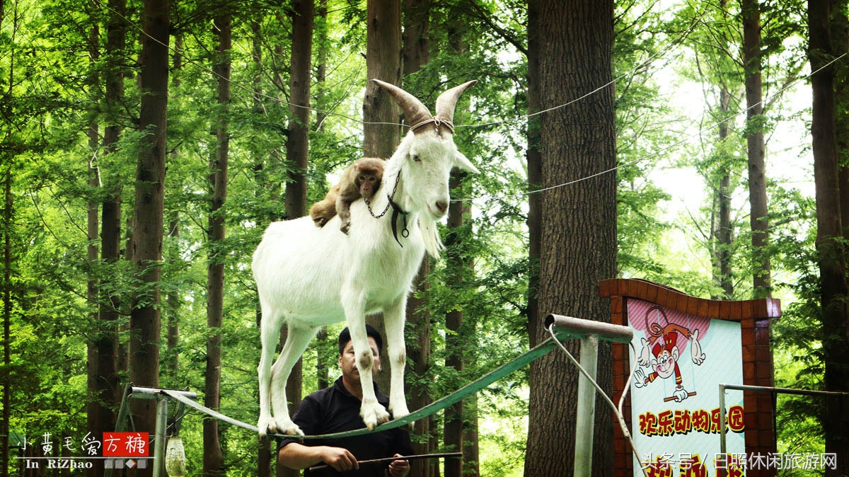 日照浴场海鲜攻略,日照海滨浴场旅游攻略