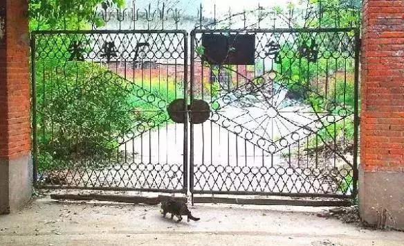 六安老厂图片,六安老厂记忆