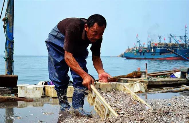 威海世界宜居城市排名,威海联合国宜居城市