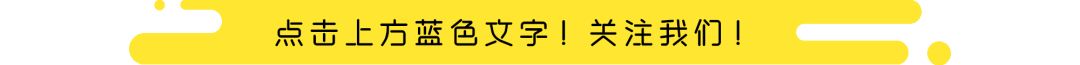 新手养猫攻略3年养猫经验分享,新手养猫攻略养猫课代表
