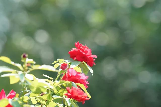 有了它再也不担心熬夜,有了它不愁吃不愁穿