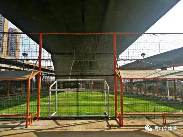 戴家湖附近足球场,戴家湖公园足球场免费吗