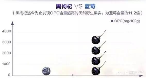 黑枸杞有什么功效价格是多少,黑枸杞有什么功效吗