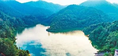 3万多亩的“天然氧吧”!人民日报整版报道佛山这座“中国最美林场”