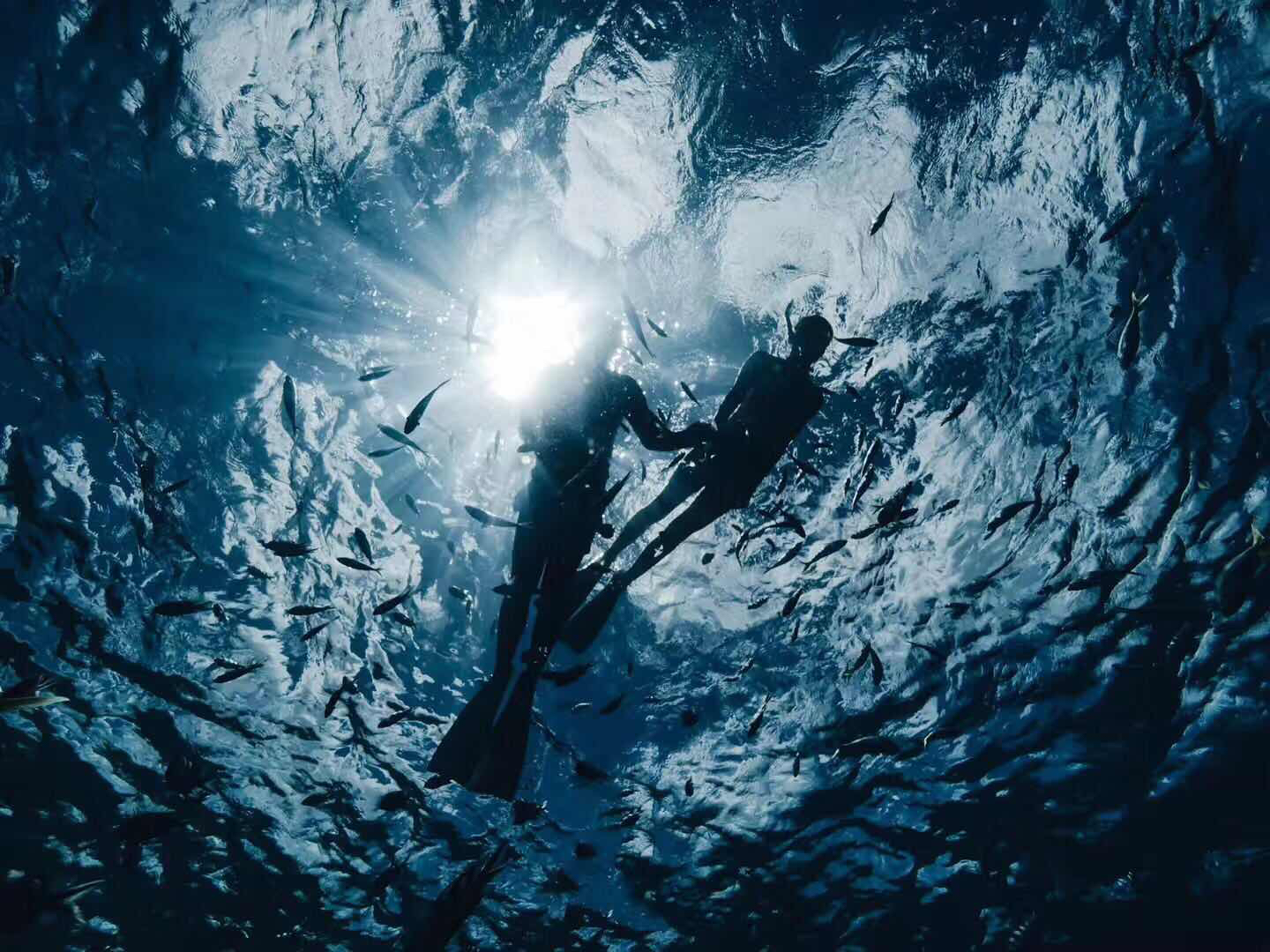 帕劳出游攻略第二天,帕劳最全攻略详细