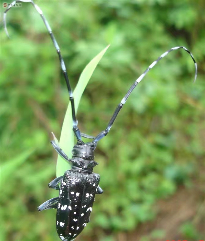 不同年龄段的童年回忆,你们的童年回忆是什么样