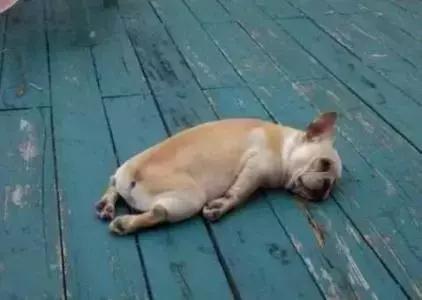 ps4新手入坑指南,关于入坑ps4的小白教程