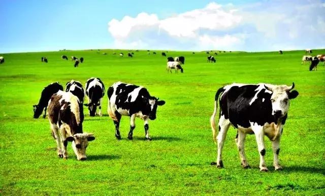 爱他美贝拉米和a2哪种奶粉好,澳洲爱他美奶粉哪款最好