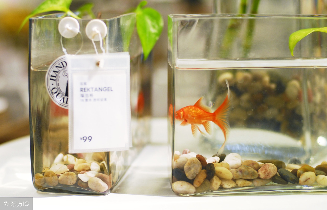 孙俪卖闲置物品二手店叫什么名字,孙俪卖闲置物品店