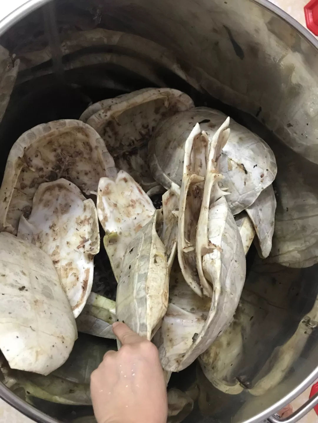 一周只卖3天网红龟苓膏，熬夜睇波食一盅即刻下火