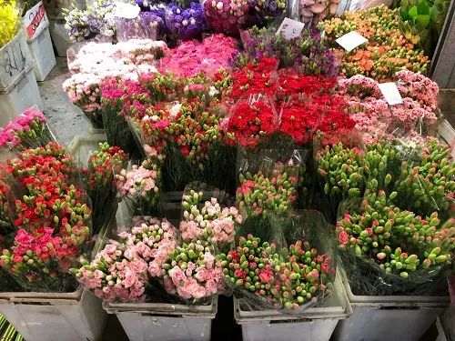 台北高架桥,台北高架