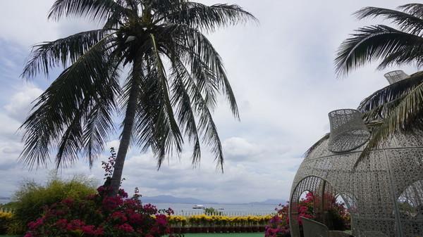 一个人的旅行由风决定,一个人的旅行头像