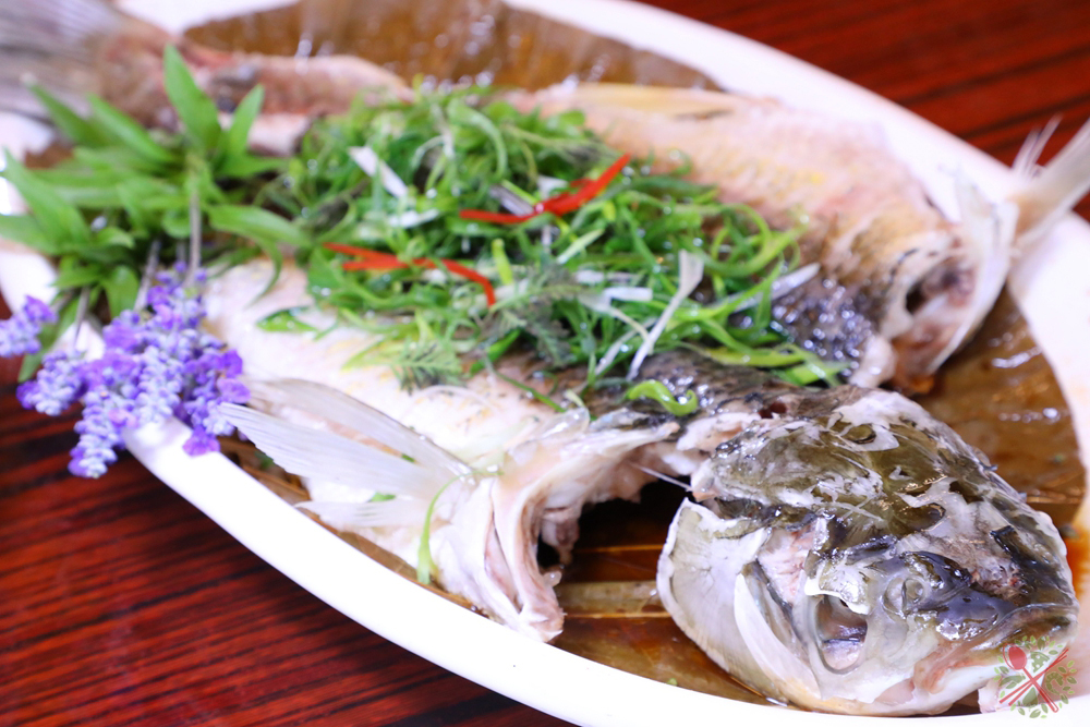 暑假带孩子逛公园,带孩子玩跳楼