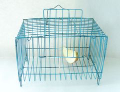 松鼠缉拿归案*法大**