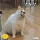 内地入境香港通关最新通告,香港逗留超过7天会罚款多少