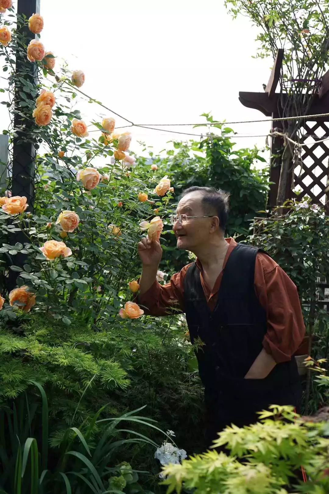 39岁，她不安分得很漂亮天台折腾两年，随后发出的照片，惊艳了所有人