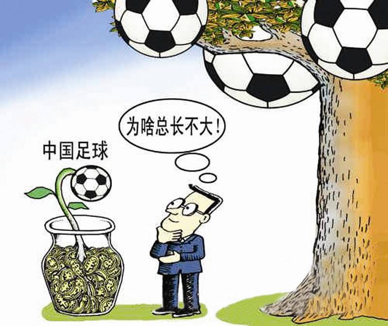 猪组成球队与天之骄子的足球比赛