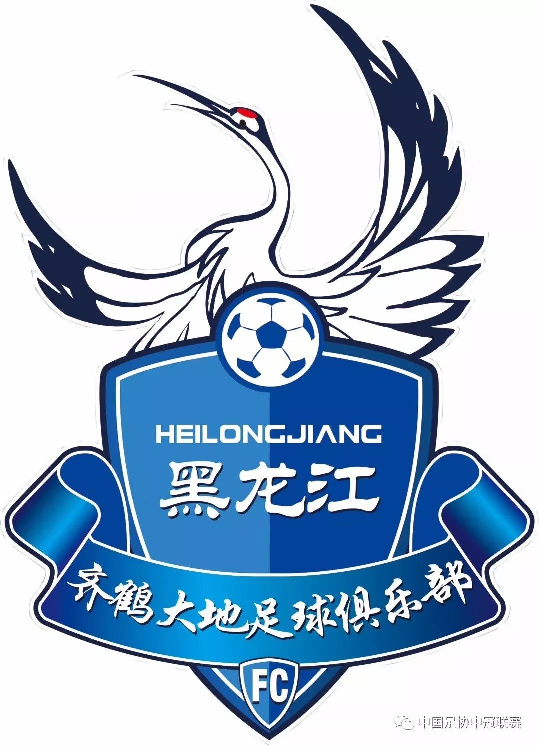 中冠俱乐部巡礼,齐齐哈尔齐鹤大地主场