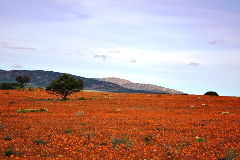 彩虹之国为什么是南非,跟着国博去旅行