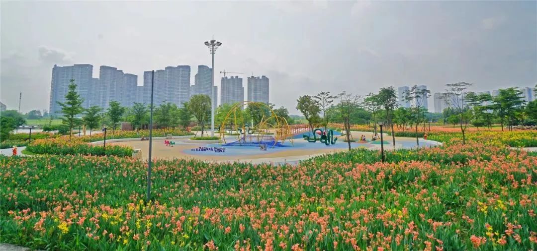 再见佛山顺德完整版,再见广州发布时间