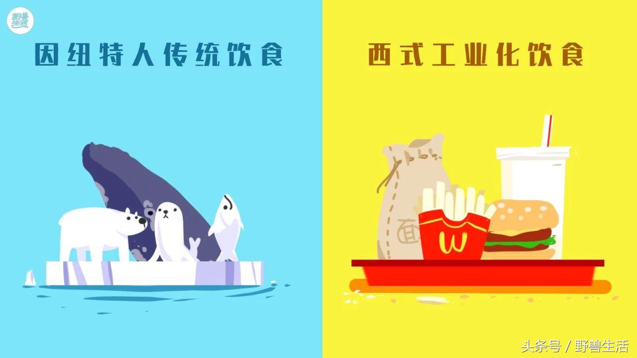 世界上有哪些人类禁地,世界上有秘境吗