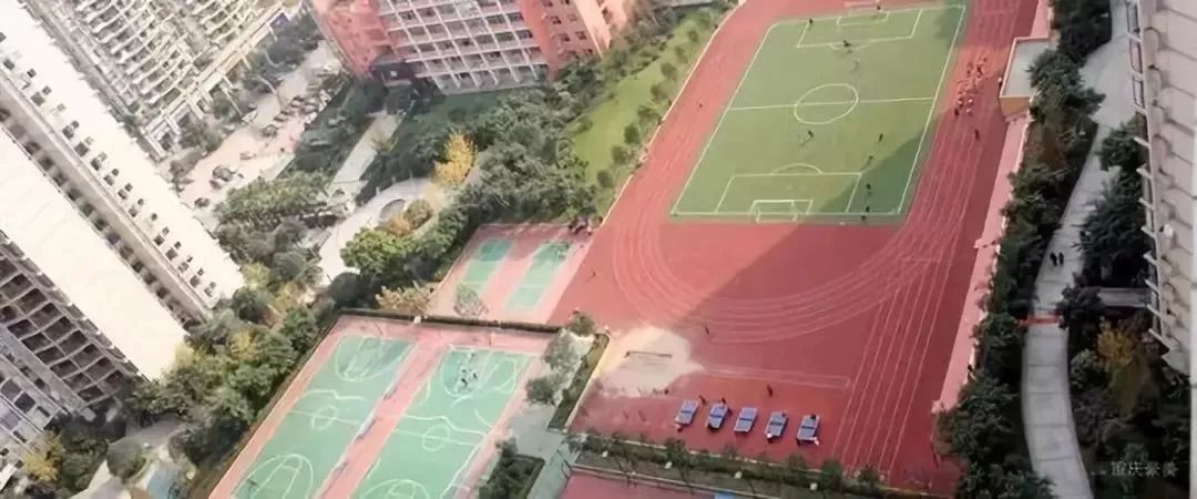 重庆渝北区小学划片一览表2021,重庆九龙坡区小学划片一览表